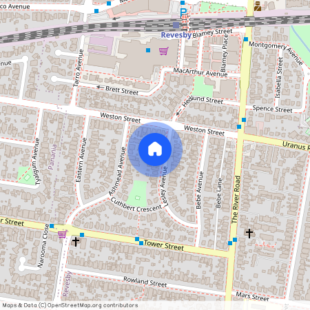 8 Lesley Avenue, NSW 2212, Revesby