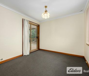 Light Filled Character Home with Awesome Secure Yard - Photo 2