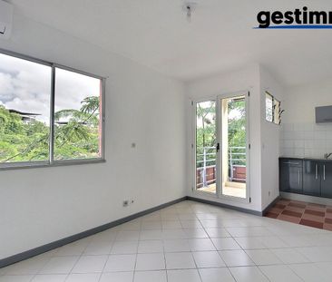 Location Appartement 1 pièce 20m² CAYENNE 97300 - Photo 3
