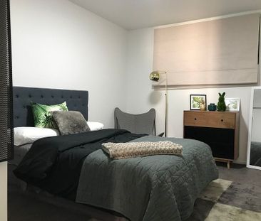 Boutique style 3 bedroom inner city oasis - Photo 3