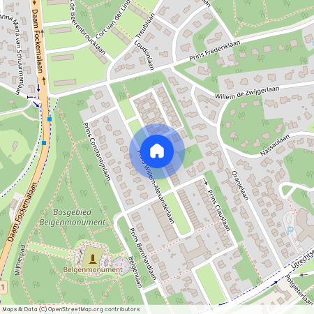 Oranjebuurt, 3818 ZK, Prins Willem-Alexanderlaan, Amersfoort