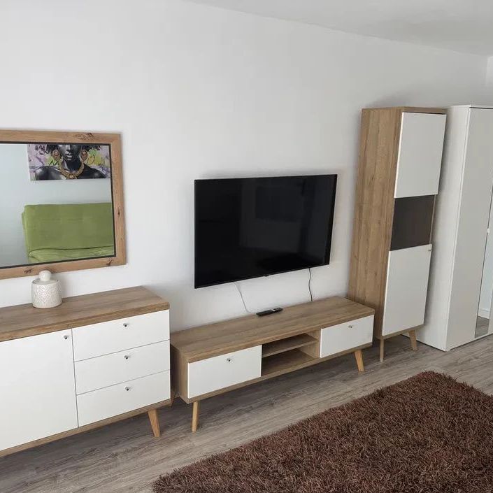 Inchiriere apartament 1 camera USAMV Kaufland Manastur - Photo 1