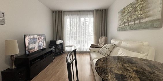 Carmichaël Appartements Appartement 3 ½ à Louer Beauport Septembre 2026 - Photo 3