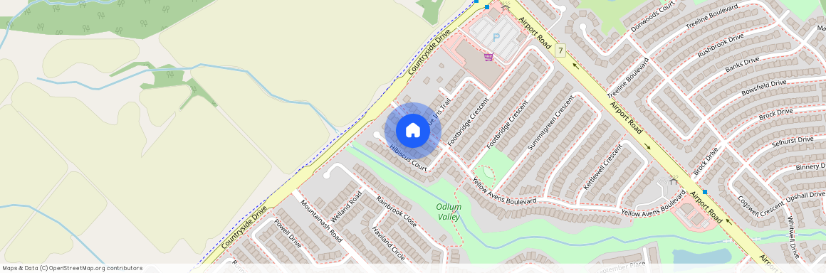 12 Yellow Avens Boulevard, Brampton