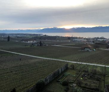 Appartement spacieux et lumineux au coeur de Mont-sur-Rolle - Photo 6