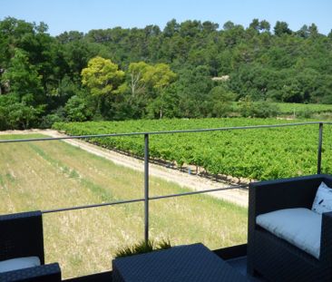 LUBERON - MÉNERBES: Villa moderne climatisée haut de gamme avec piscine - Photo 2