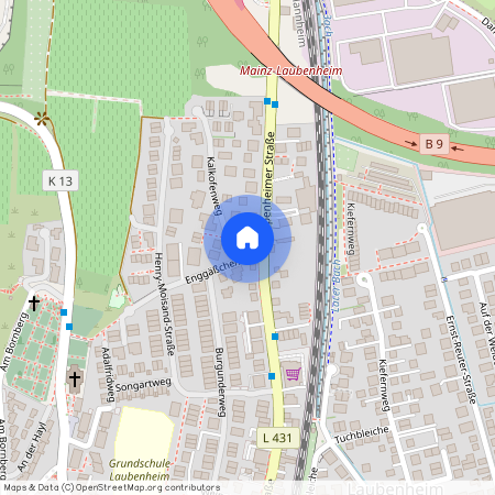 Oppenheimer Straße 80, 55130 Mainz