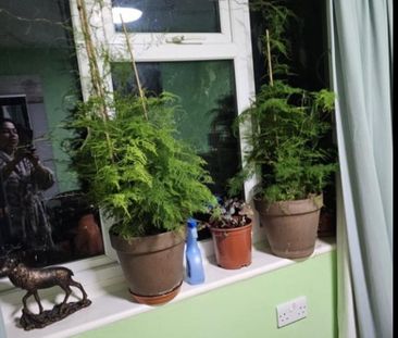 1 bedroom in a house share to rent - Photo 3