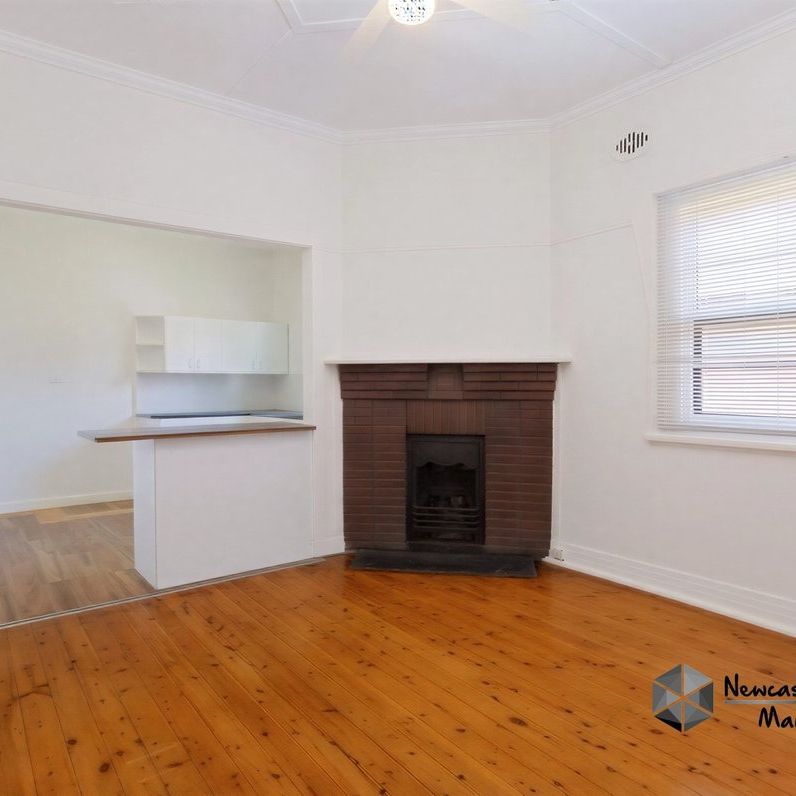 59 Lorna Street, Waratah - Photo 1
