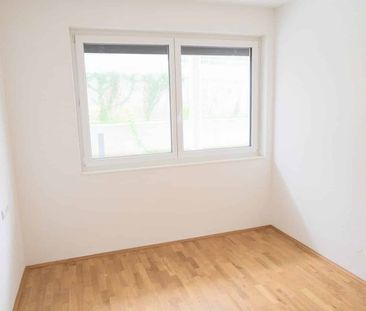 Single-Hit: 2-Zimmer-Neubau in Klosterneuburg - Photo 2