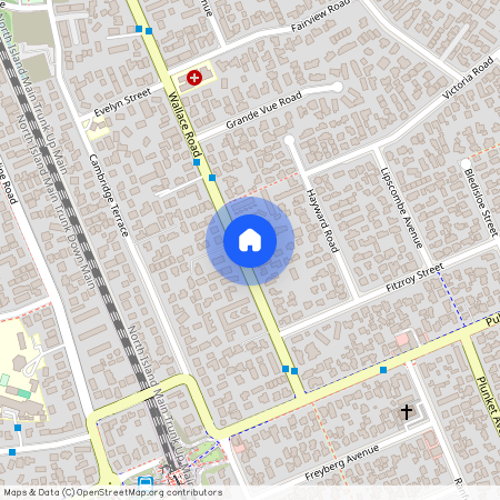 98 Wallace Road, Papatoetoe, Manukau City