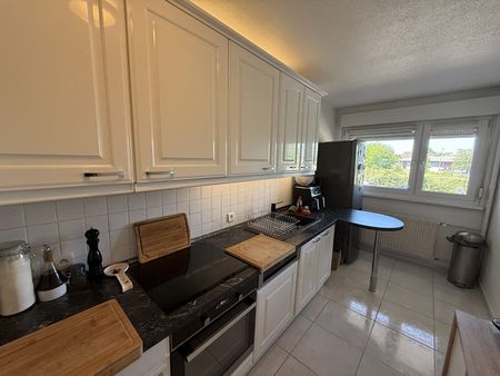 Location Appartement 3 pièces 77m² SCHILTIGHEIM 67300 - Photo 3