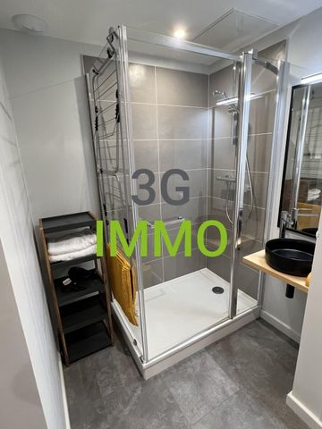 Location / Studio meublé - Photo 2