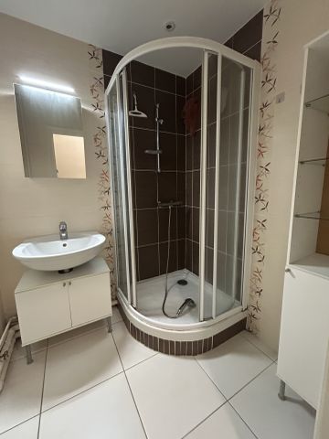 Location Appartement 1 pièce 29m² ANGERS 49100 - Photo 5