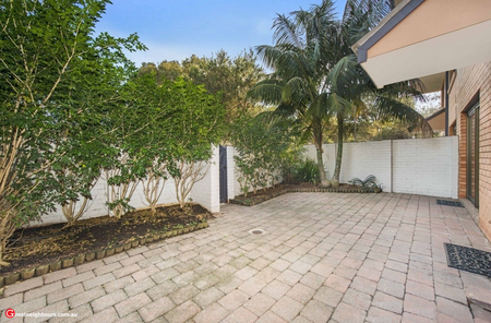 2/36-38 Rosalind Street, Cammeray NSW 2062 - Townhouse For Rent | Domain - Photo 2