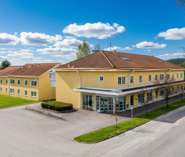 Solberga: Etta i markplan - Photo 6