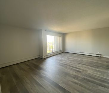 Palisades Manor - Photo 5