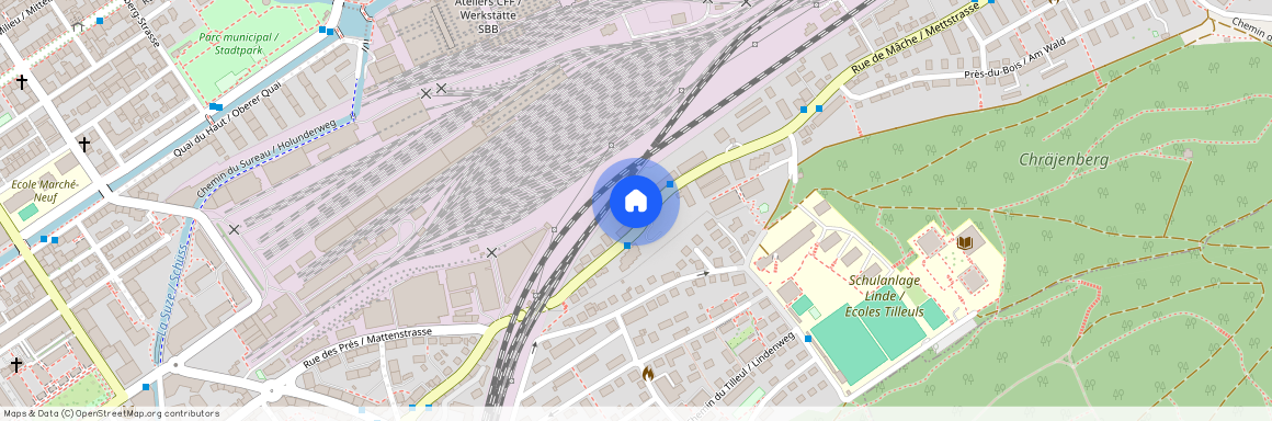 2503, Biel/Bienne, Rue De Mâche / Mettstrasse, 17