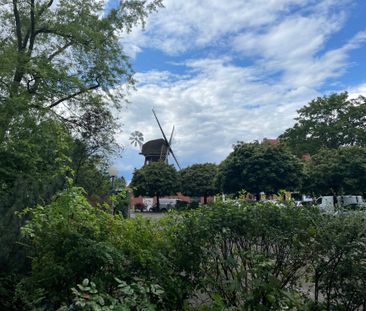 Ab nach Buckow! Singleapartment mit Einbauküche - Photo 6