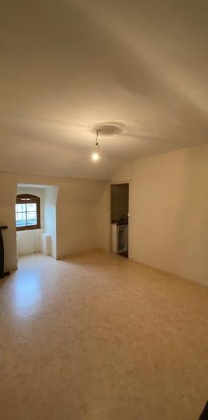 Location Appartement 1 pièce 21m² ANGERS 49100 - Photo 1