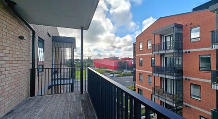 Modern 2 bedrooms apartment at Hobsonville point - Photo 2