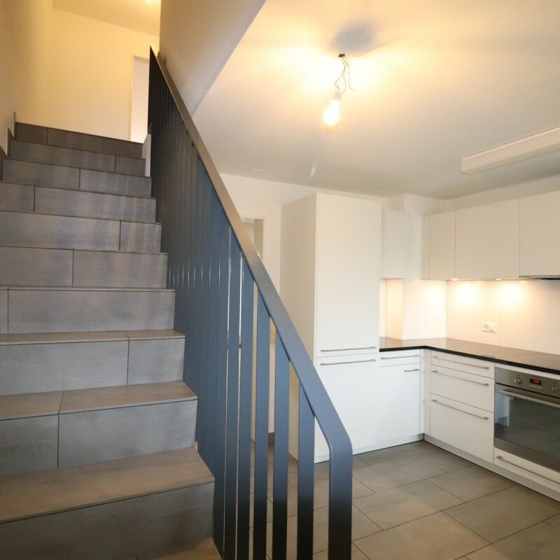 Nähe Mischelicenter- moderne 3 1/2 Zimmer-Maisonettewohnung in Reinach - Photo 1