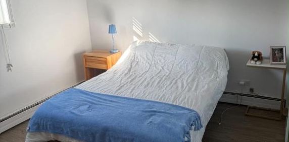 Logement 4 1/2 - Photo 2