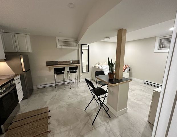 Basement Suite Studio | 1409 Rosehill Drive Northwest, Calgary - Photo 1