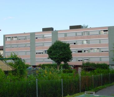 Rue des Moulins 89 - Yverdon-les-Bains - Photo 1