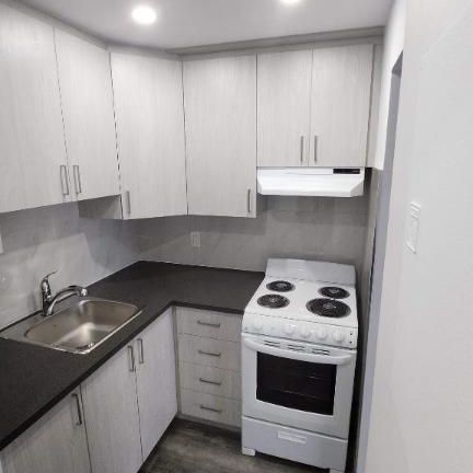 1 CH - 1 SDB - Montréal - $1,250 /mo - Photo 1