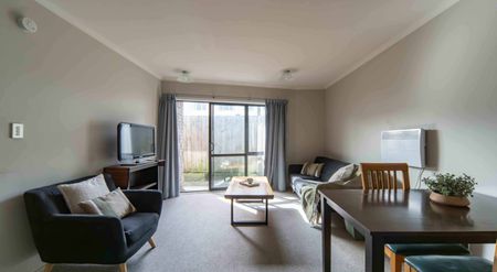 Furnished One Bedroom Apartment - Photo 4