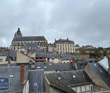 Location Appartement 3 pièces 67m² BLOIS 41000 - Photo 6