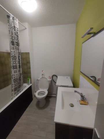 Location Appartement 1 pièce Meublé 23m² ST PIERRE DU MONT 40280 - Photo 5