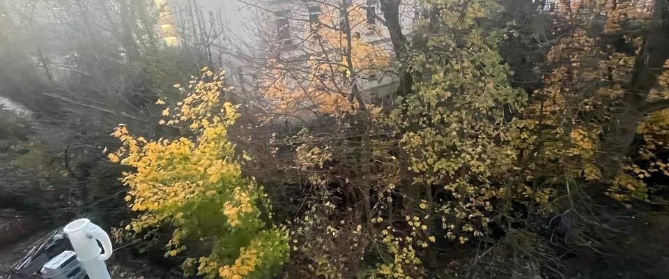 50qm 1-Zimmer-Wohnung, mit Blick auf die Wupper - Photo 1