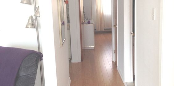 Beau 4 1/2 Propre Pres Tous Services - Photo 3