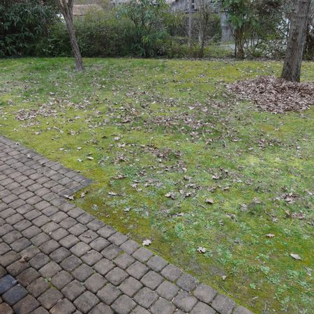 Location Appartement 1 pièce 21m² CARQUEFOU 44470 - Photo 4