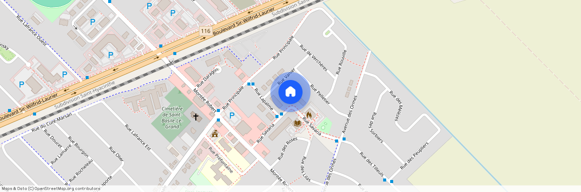 Nouveauté, 29 Rue Savaria, app. 1, Saint-Basile-le-Grand (, Montérégie, ), J3N1P7