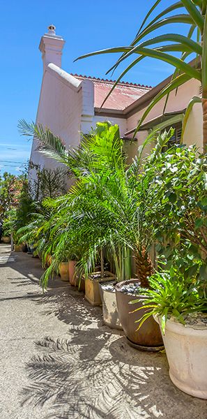 7/15 Eton Street, Camperdown NSW 2050 - Apartment For Rent | Domain - Photo 1