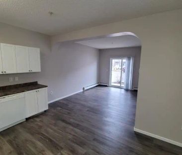 Tamarack Manor — 2 bed 1 bath - Photo 4