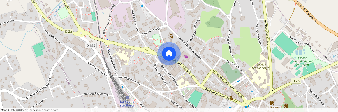 74800, La Roche-Sur-Foron