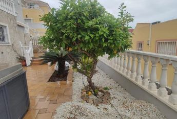 Orihuela
