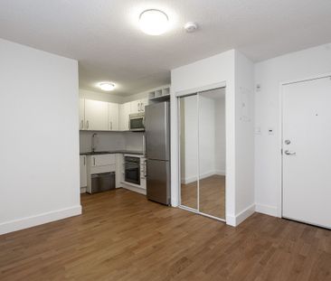 56 Maitland Street - Photo 6