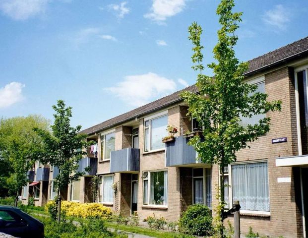 Appartement Meteorenstraat 53, Emmeloord - À louer - Foto 1