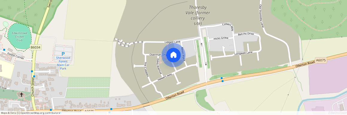 Overman Drive, Thoresby Vale NG21