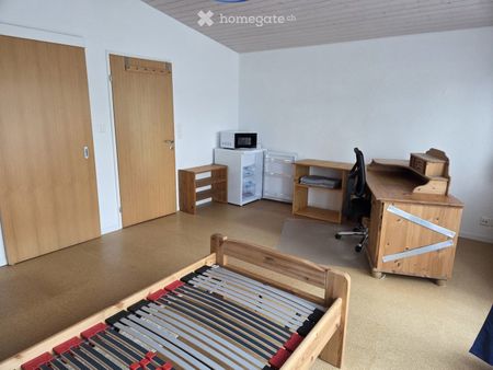 Möbliertes Wohnobjekt in Hegi (Winterthur) - Foto 3