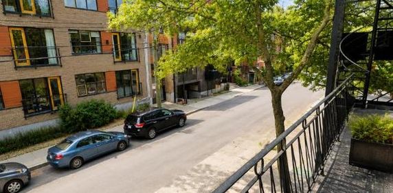 1 CH - 1 SDB - Montréal - $1,249 /mo - Photo 2