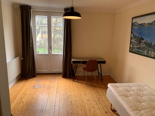 Byggmästaregatan, Lund - Photo 1