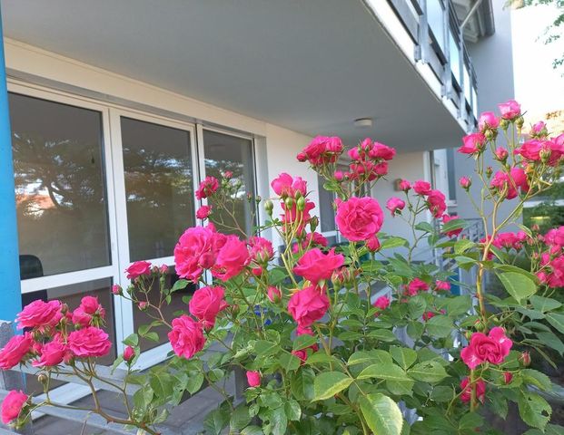 4,5 Zimmer Wohnung mit Garten in Oggelshausen - Photo 1