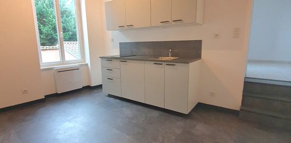 Location Appartement 1 pièce 25m² CONDRIEU 69420 - Photo 2