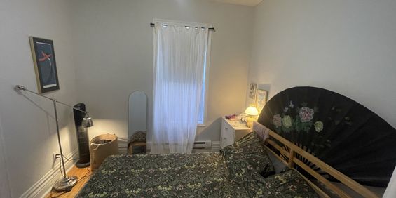 Petite Italie - 3 1/2 Avec Cour Arrière - Photo 3